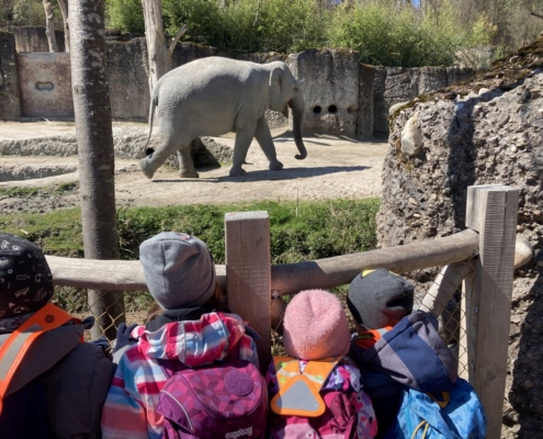Elefant läuft