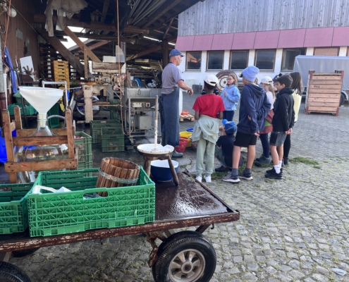 Der Bauer erklärt