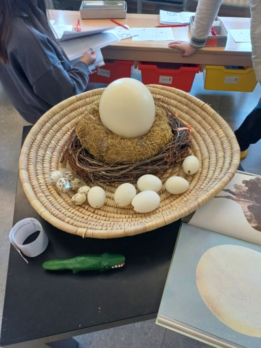 Eier im Nest