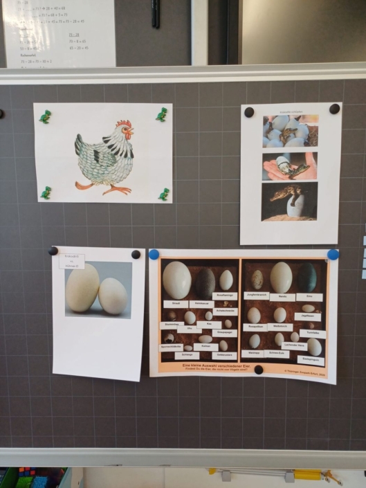 Hühnerbilder an Wandtafel