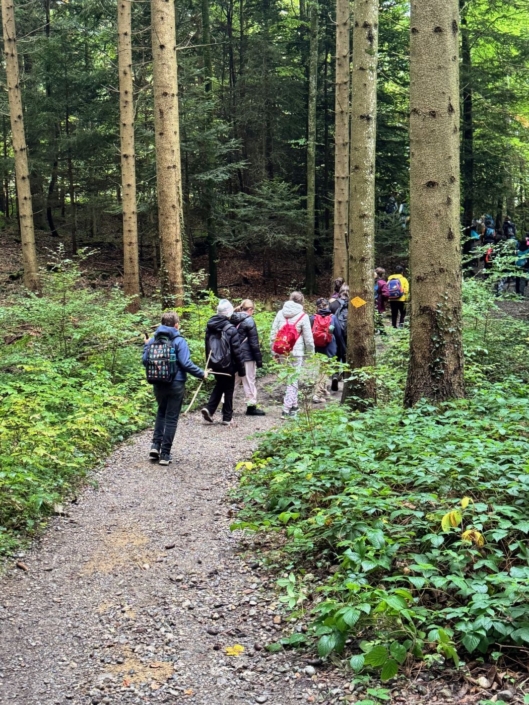 20250210_Wandertag03 Kinder wandern im Wald