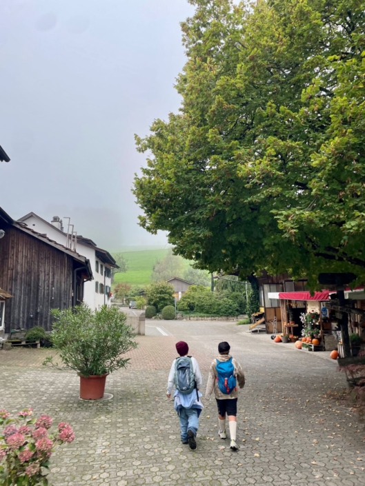 20250930_Herbstwanderung_MST_02 zwei Kinder wandern auf einem Bauernhof