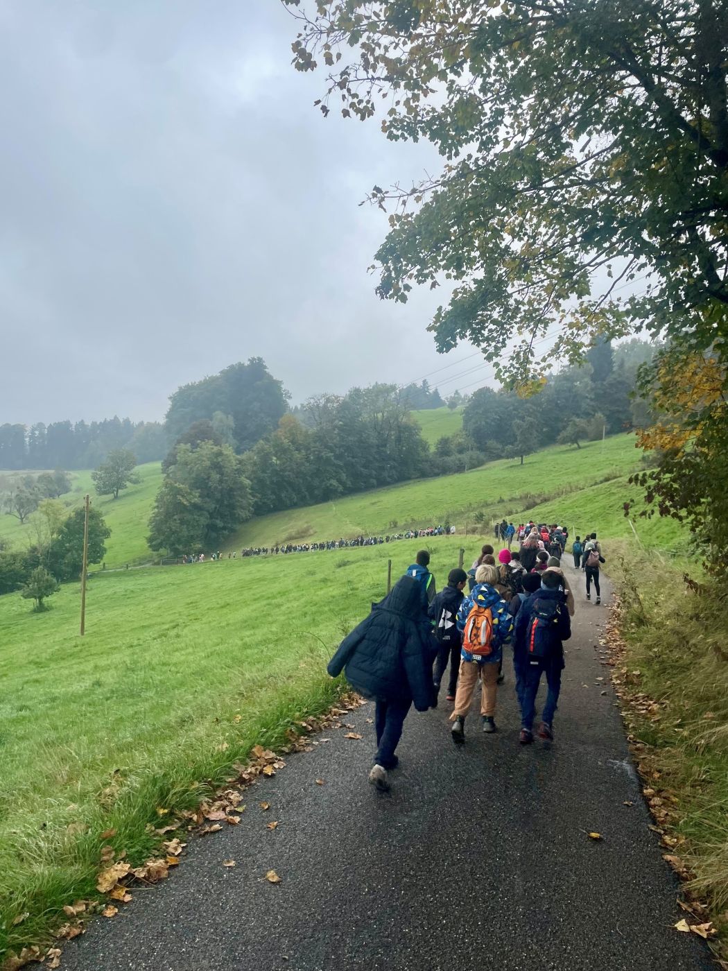 20250930_Herbstwanderung_MST_04 Viele Kinder wandern gemeinsam
