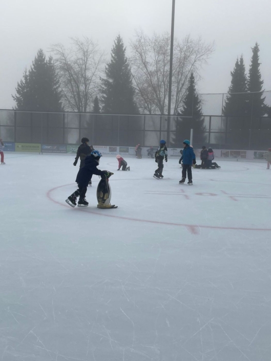 Ein Kind benutzt einen Pinguin auf dem Eisfeld