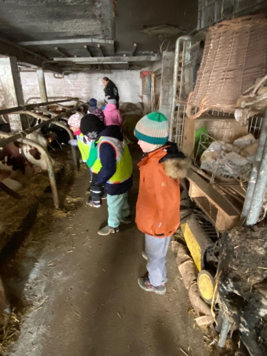 Die Kinder stehen im Kuhstall und schauen die Kühe an