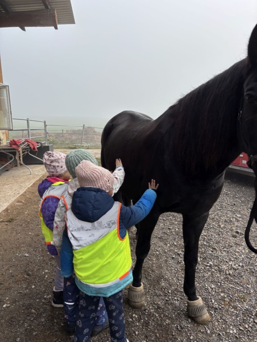 drei Kinder streicheln ein schwarzes Pferd