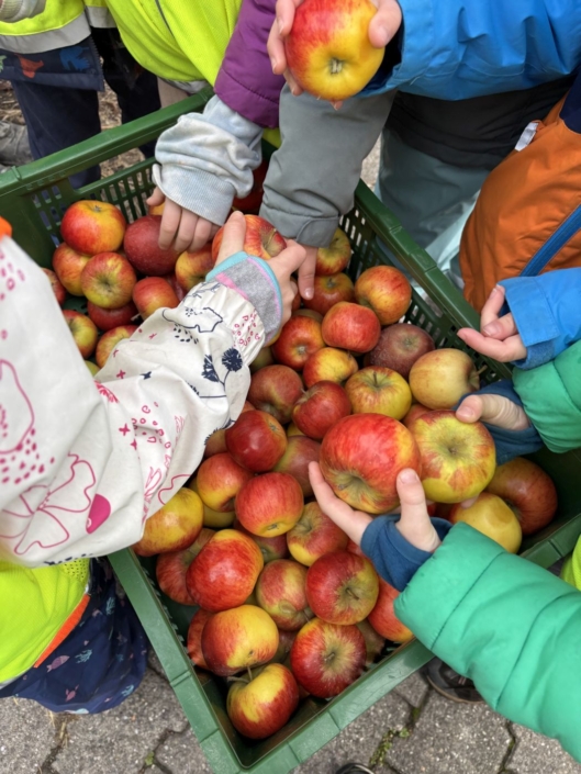 Die Kinder nehmen einen Apfel aus einer Kiste voller Äpfel