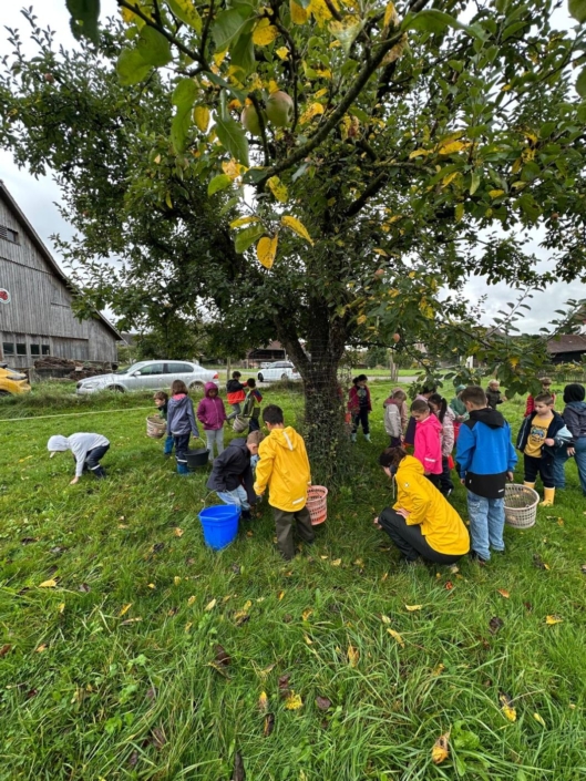 Kinder pflücken Äpfel