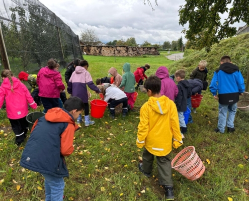 Kinder sammeln Äpfel mit Körben