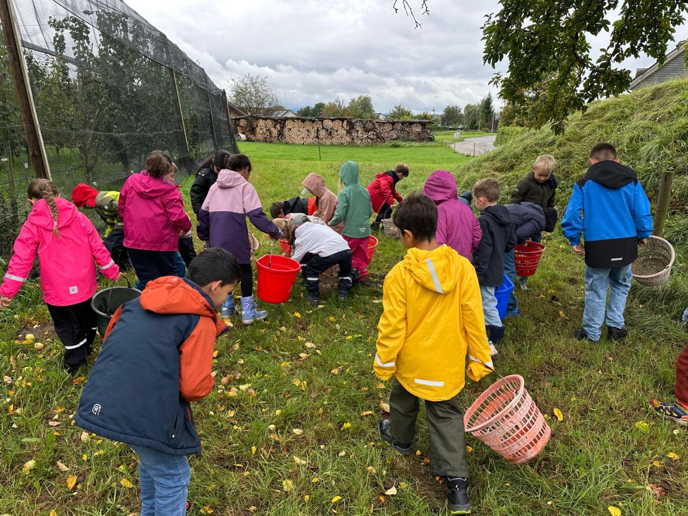 Kinder sammeln Äpfel mit Körben
