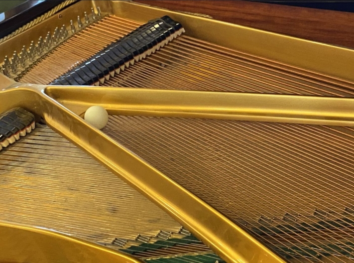 Ping Pong Ball auf Flügelsaiten